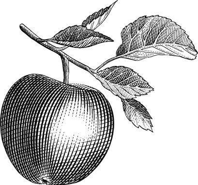 Grafiskt äpple