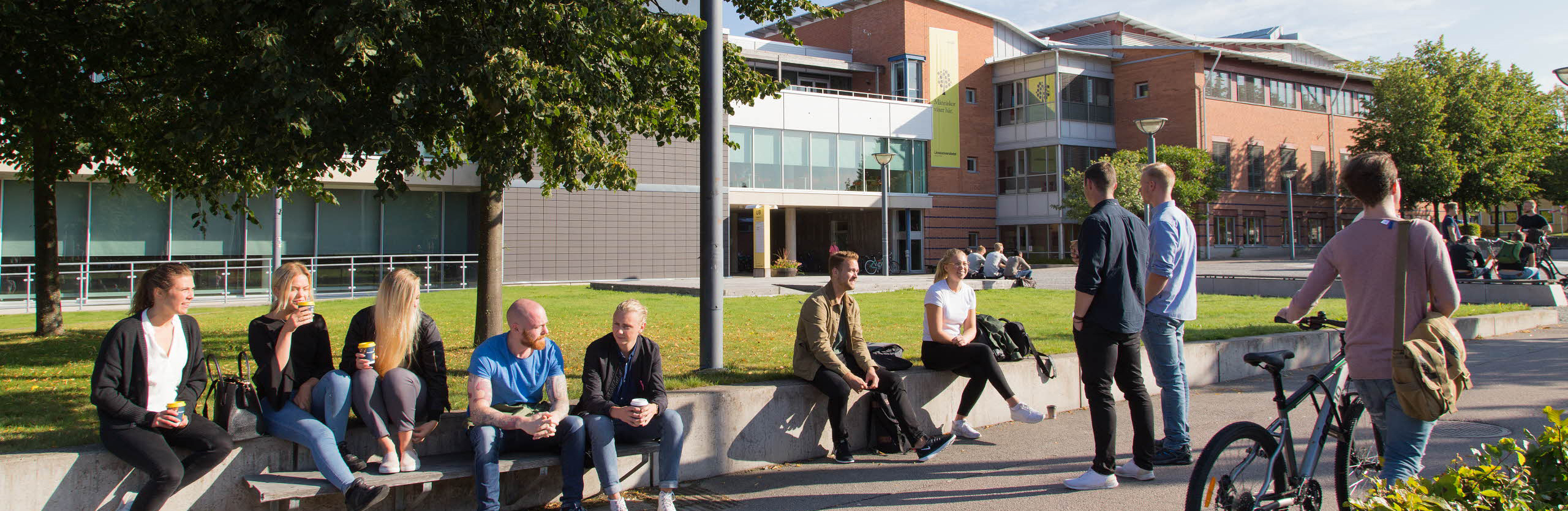 Students in the sunshine at Campus Växjö