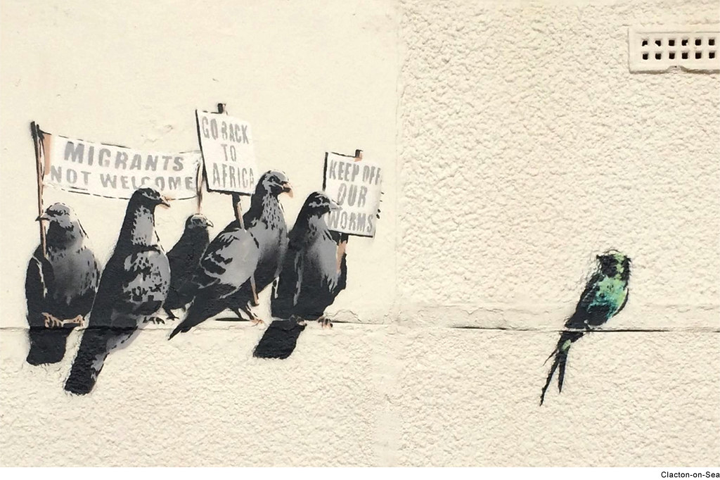 pigeons protest 